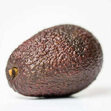 Avocado Seeds - Brown