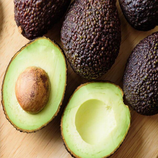  Avocado Seeds - Carmen Hass