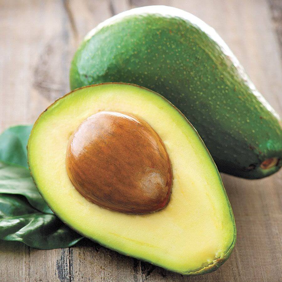 Avocado Seeds -  Wurtz Littlecado