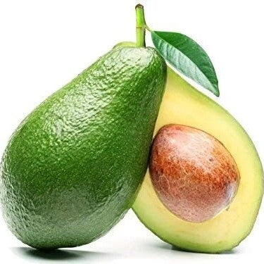 Avocado Seeds – Green