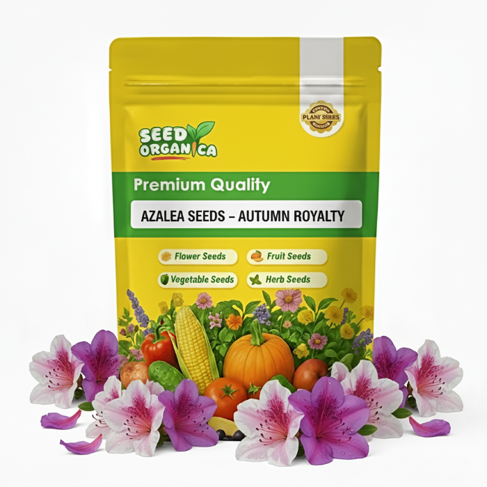 Azalea Seeds – Autumn Royalty
