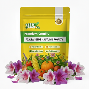 Azalea Seeds – Autumn Royalty
