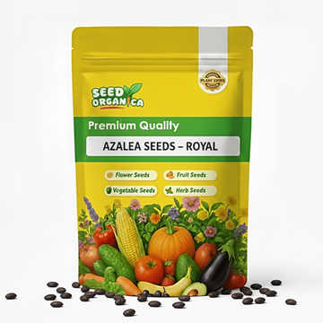 Azalea Seeds – Royal