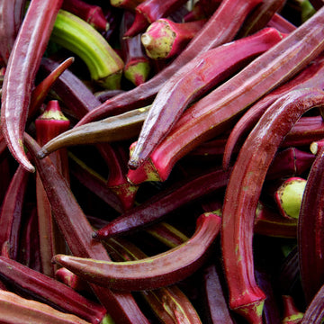 Okra Seeds – Burgundy