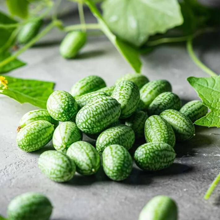 Baby Watermelon Cucumber Seeds