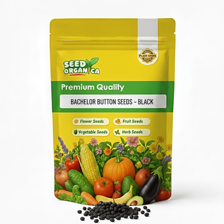 Bachelor Button Seeds – Black