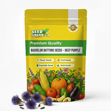 Bachelor Buttons Seeds - Deep Purple