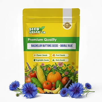 Bachelor Buttons Seeds – Double Blue