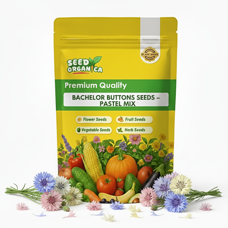 Bachelor Buttons Seeds – Pastel Mix