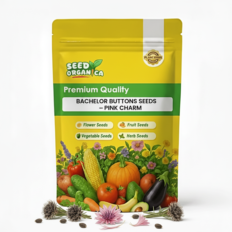 Bachelor Buttons Seeds – Pink Charm