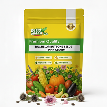 Bachelor Buttons Seeds – Pink Charm