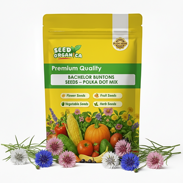 Bachelor Buttons Seeds – Polka Dot Mix