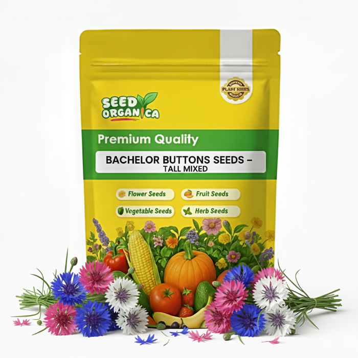 Bachelor Buttons Seeds – Tall Mixed