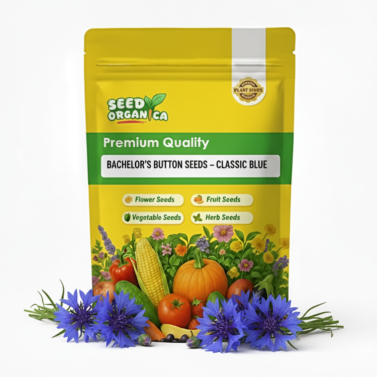 Classic Blue Bachelor's Button Seeds | Buy Cornflower Seeds