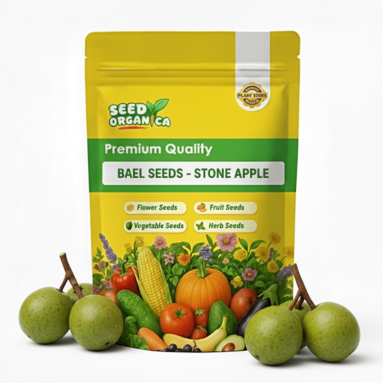 Bael Seeds - Stone Apple