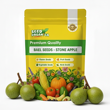 Bael Seeds - Stone Apple