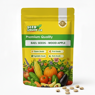 Bael Seeds - Wood Apple