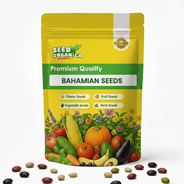 Bahamian Seeds