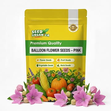 Balloon Flower Seeds – Pink