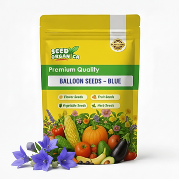 Balloon Seeds – Blue