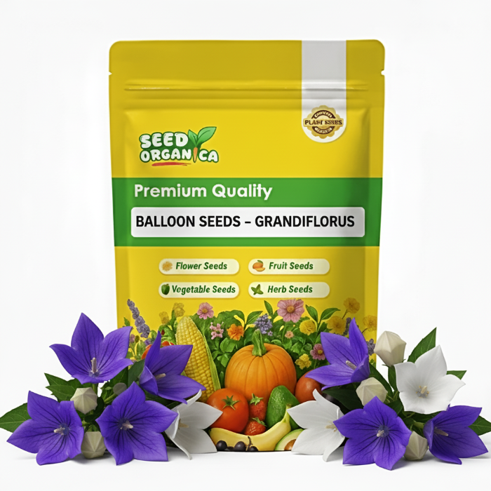 Balloon Seeds – Grandiflorus