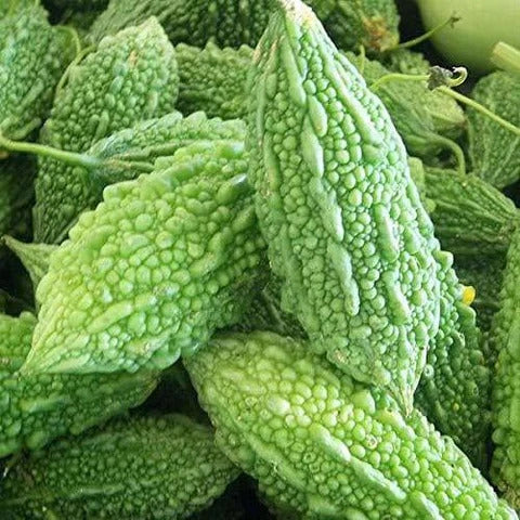 Balsam Pear Seeds – Bitter Melon
