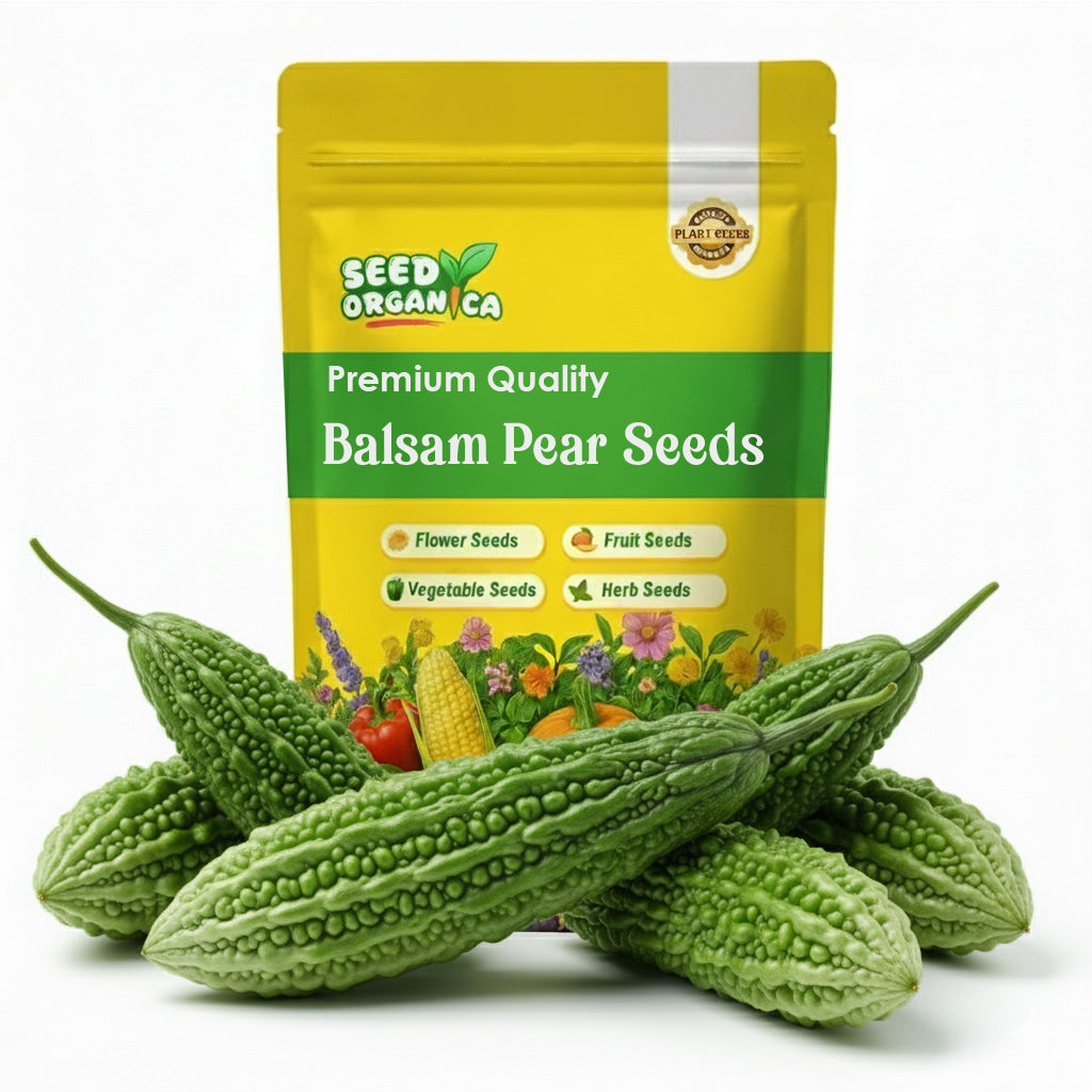 Balsam Pear Seeds – Bitter Melon
