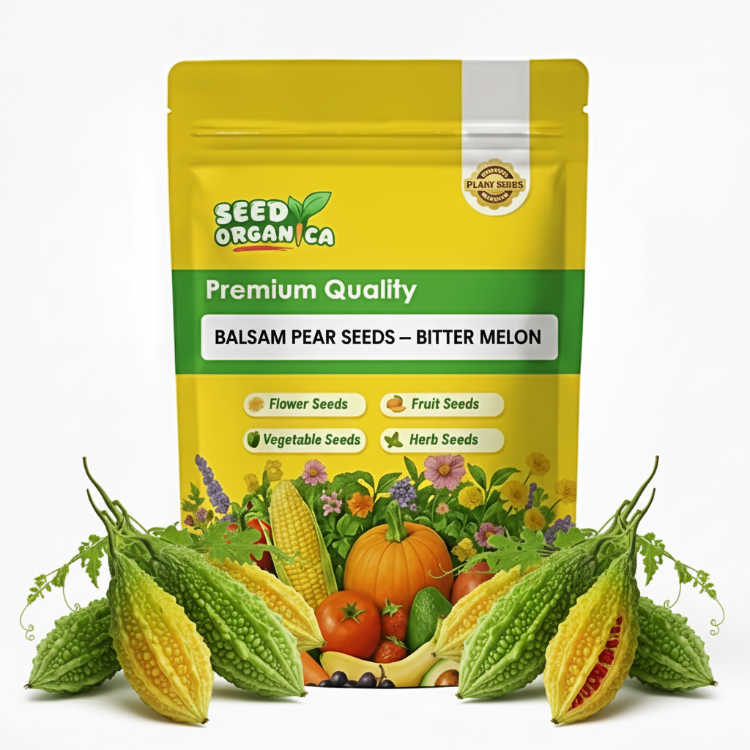 Balsam Pear Seeds – Bitter Melon
