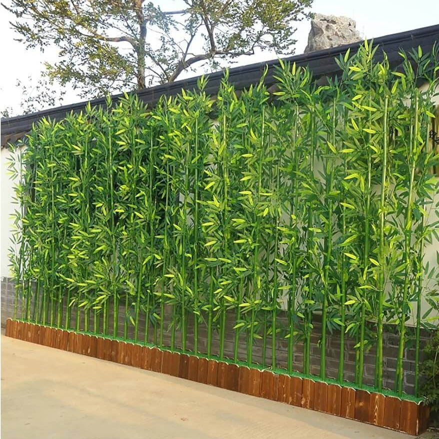 Bamboo Privacy Screen Seeds