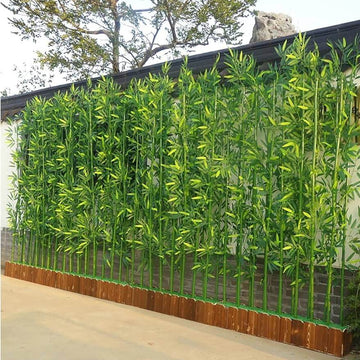 Bamboo Privacy Screen Seeds