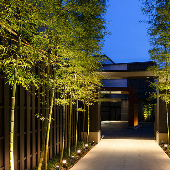 Bamboo Seeds - Flower Plant for Home Gardens