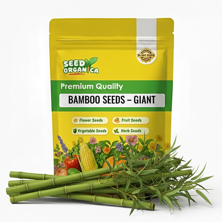 Bamboo Seeds – Giant