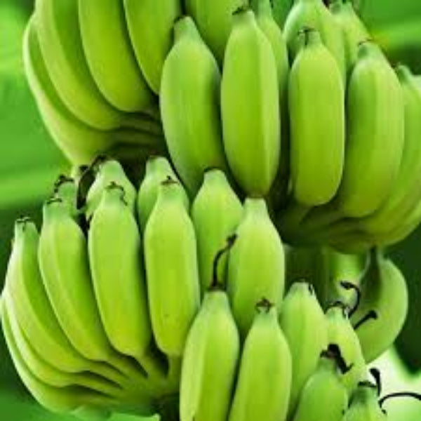 Banana Seeds – Dark Green