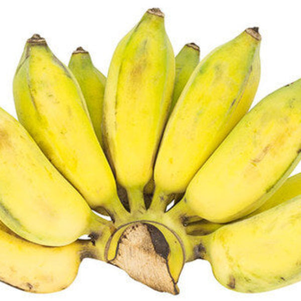 Banana Seeds – Kluai Namwa