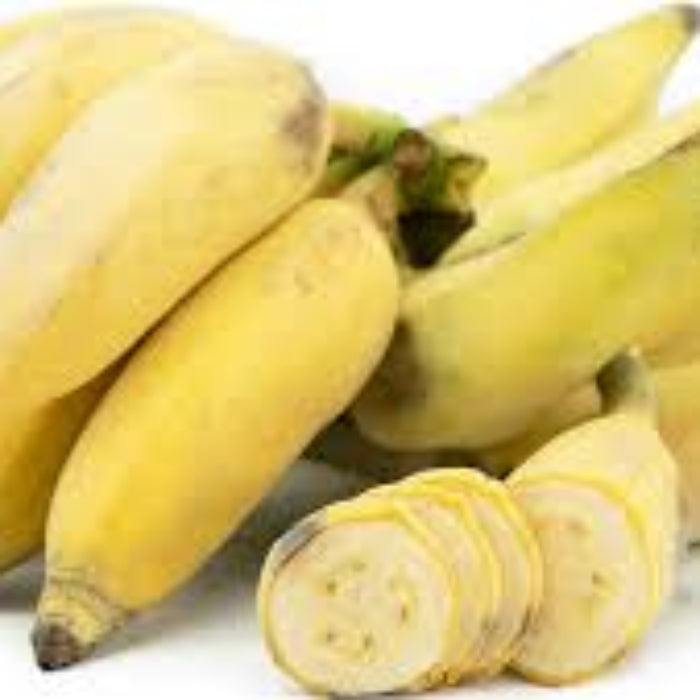 Banana Seeds – Kluai Namwa