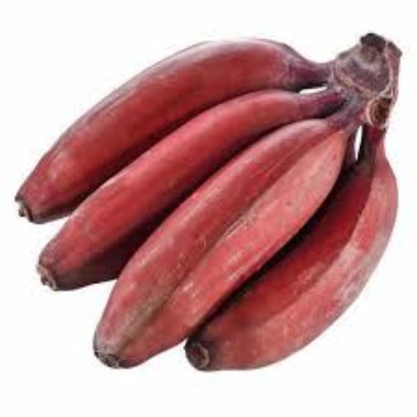 Banana Seeds – Maroon Red