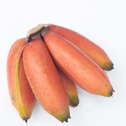 Banana Seeds – Orange
