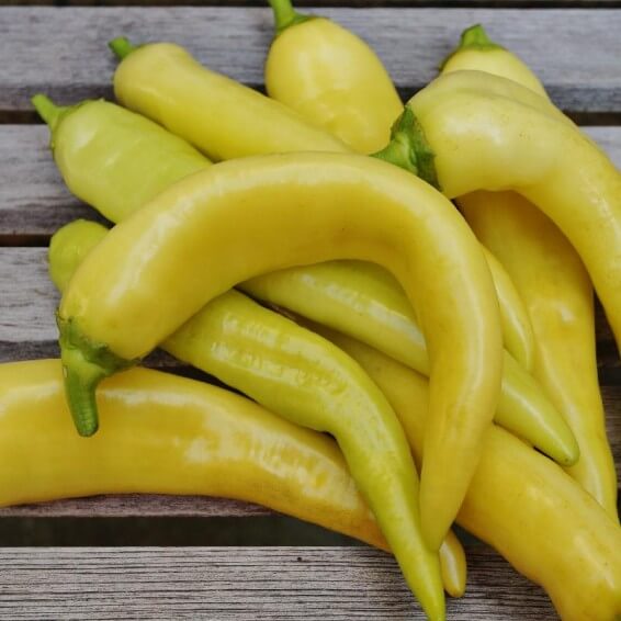 Banana Pepper Seeds – Sweet