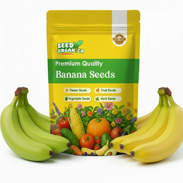 Banana Seeds
