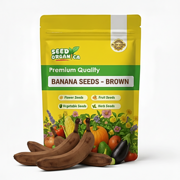 Banana Seeds – Brown