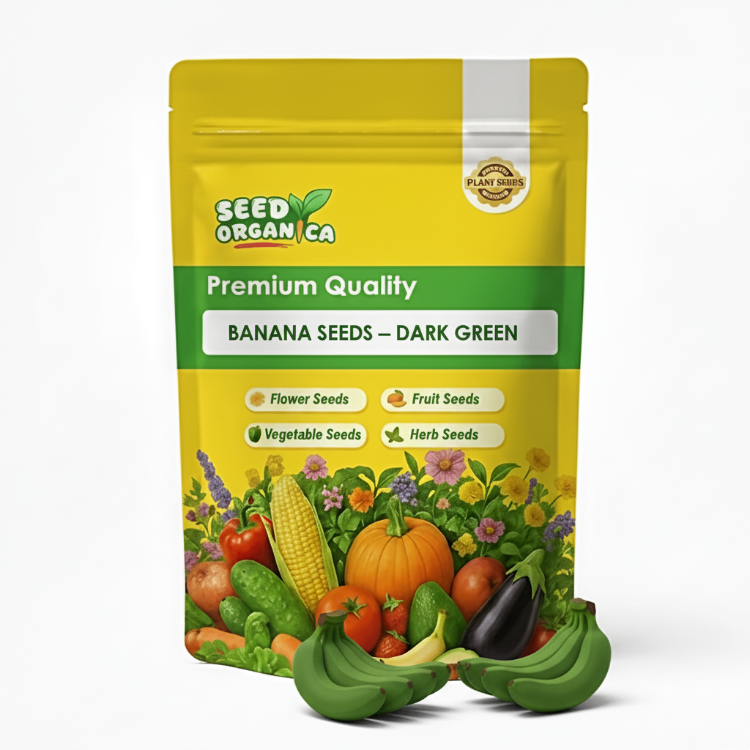Banana Seeds – Dark Green
