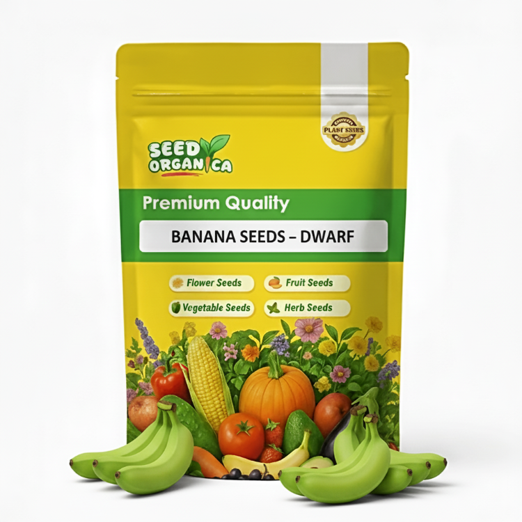 Banana Seeds – Dwarf