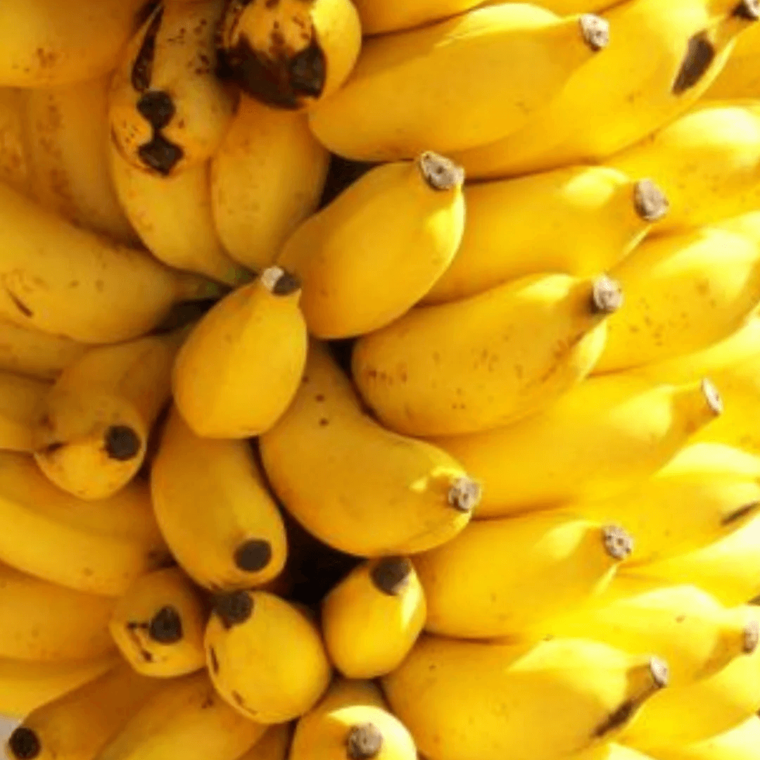 Banana Seeds – Goldfinger