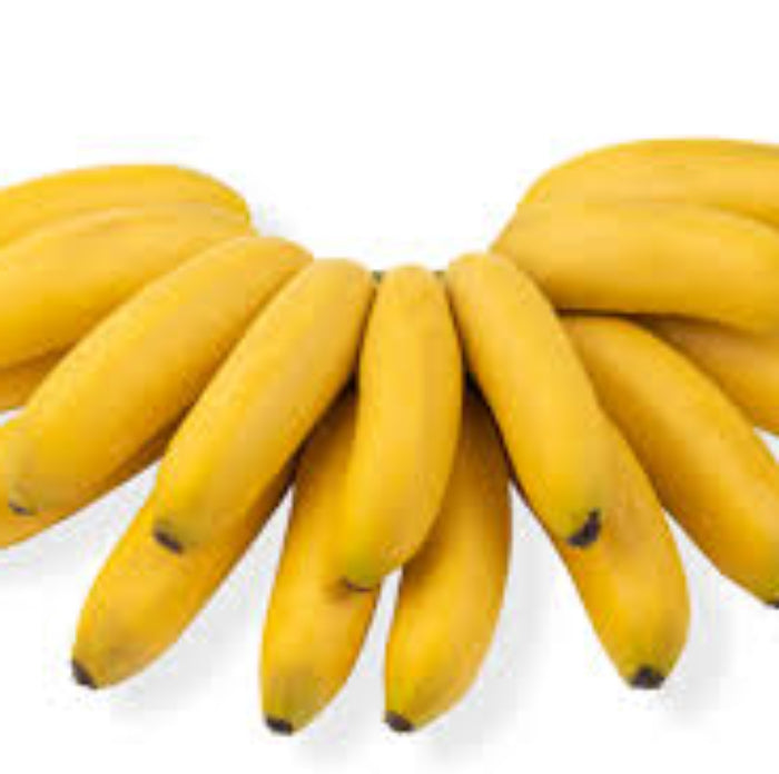 Banana Seeds – Goldfinger