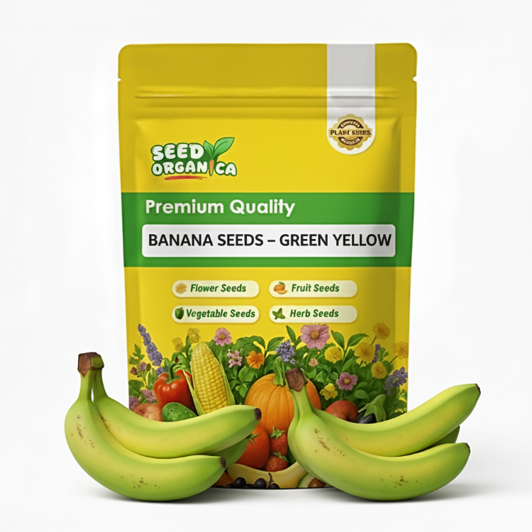 Banana Seeds – Green Yellow