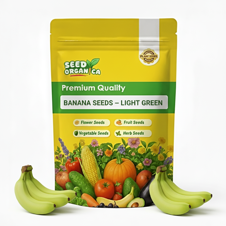 Banana Seeds – Light Green
