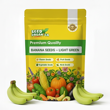 Banana Seeds – Light Green