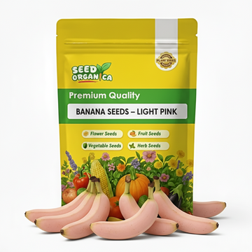 Banana Seeds – Light Pink