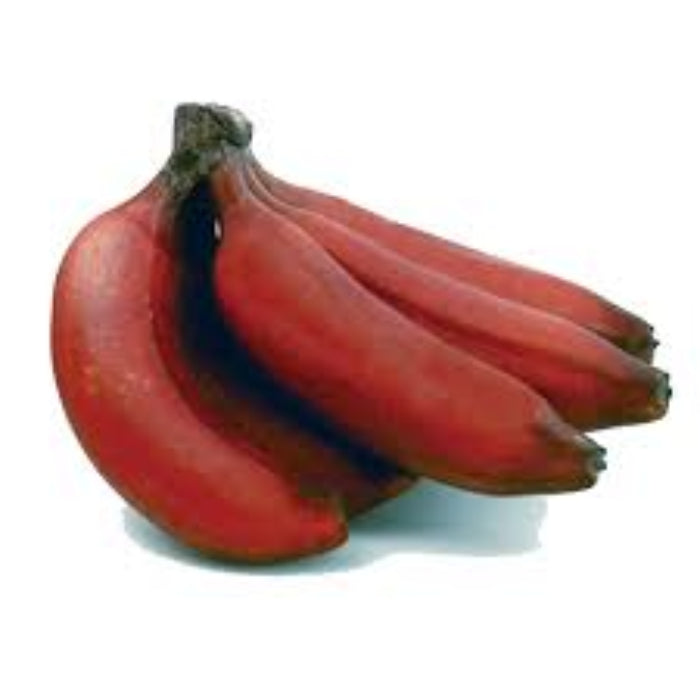 Banana Seeds – Maroon