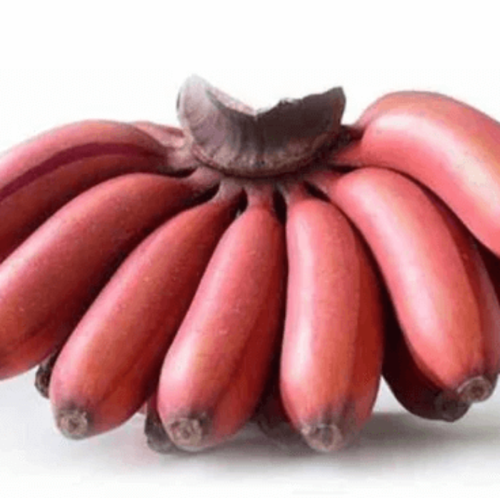 Banana Seeds – Maroon